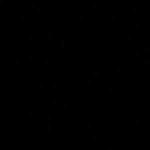 Meet your Posher, Samuel